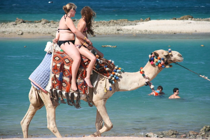 Vakantie Egypte 2010-25.jpg